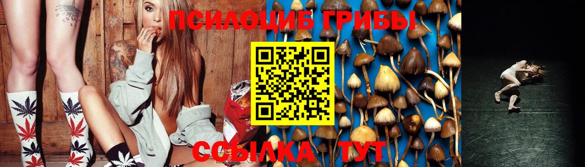 Псилоцибиновые грибы Cubensis  Галлюциногенные грибы Psilocybine cubensis  Вход с VPN  Петровск 