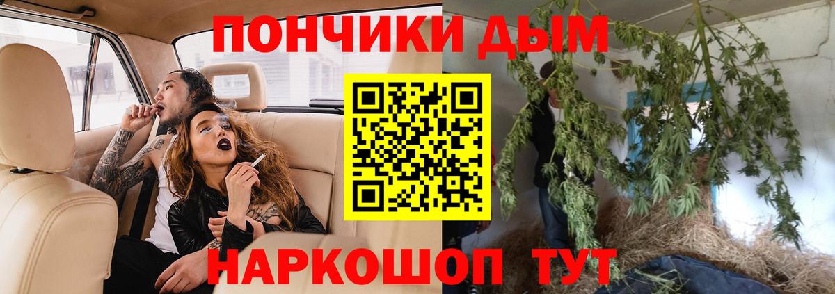 Шишки марихуана гибрид Петровск